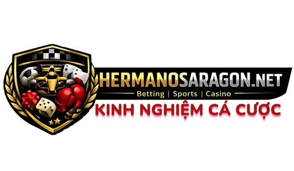 hermanosaragon.net